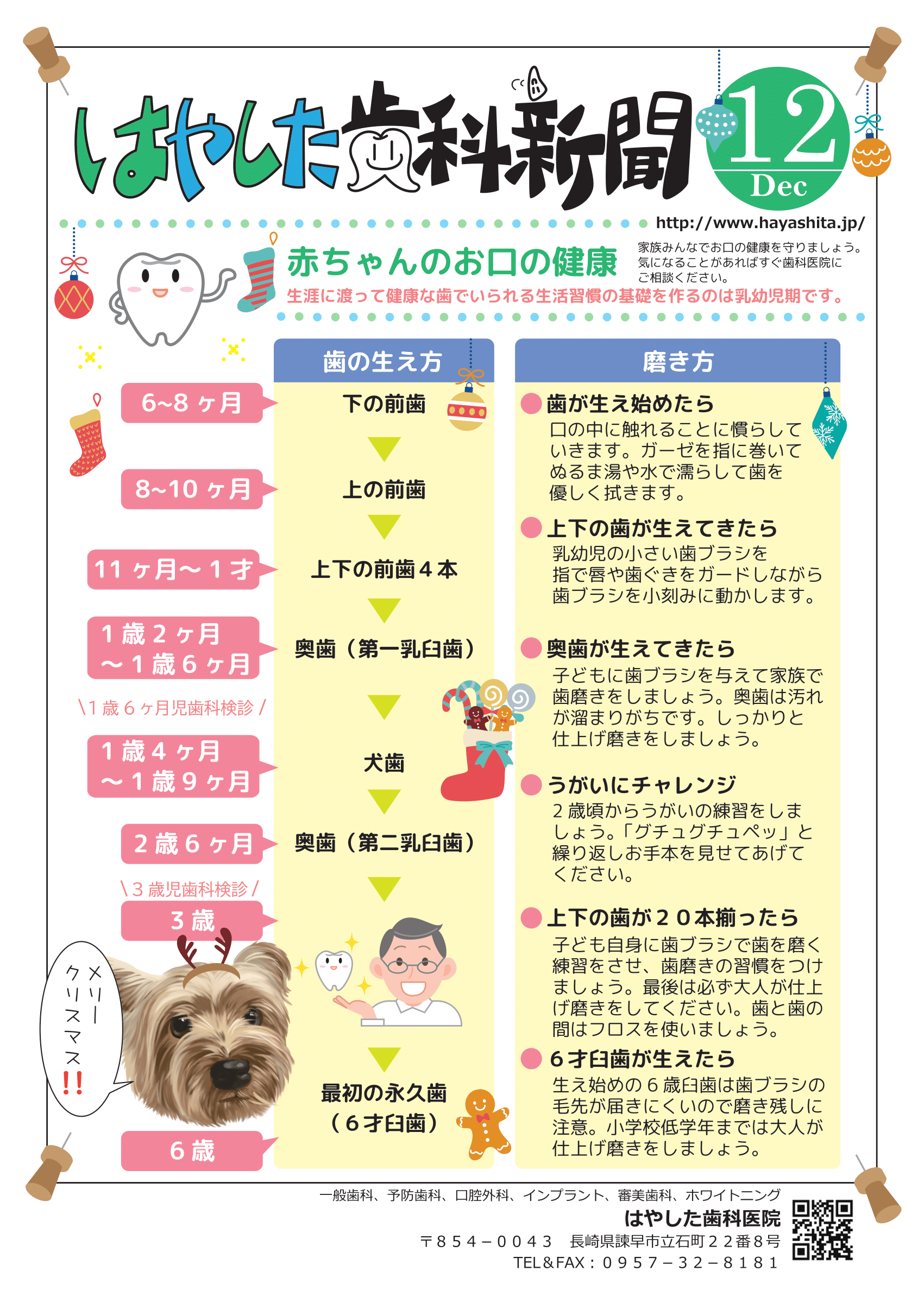 はやした歯科新聞