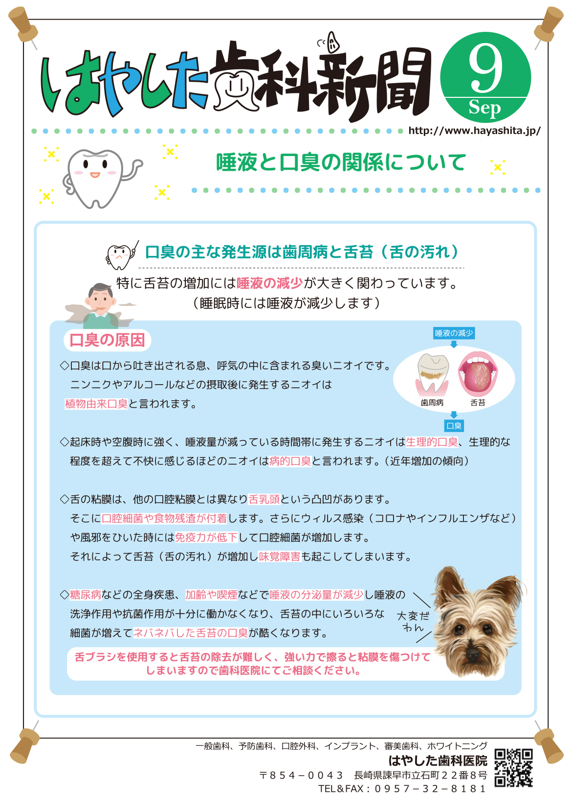 はやした歯科新聞
